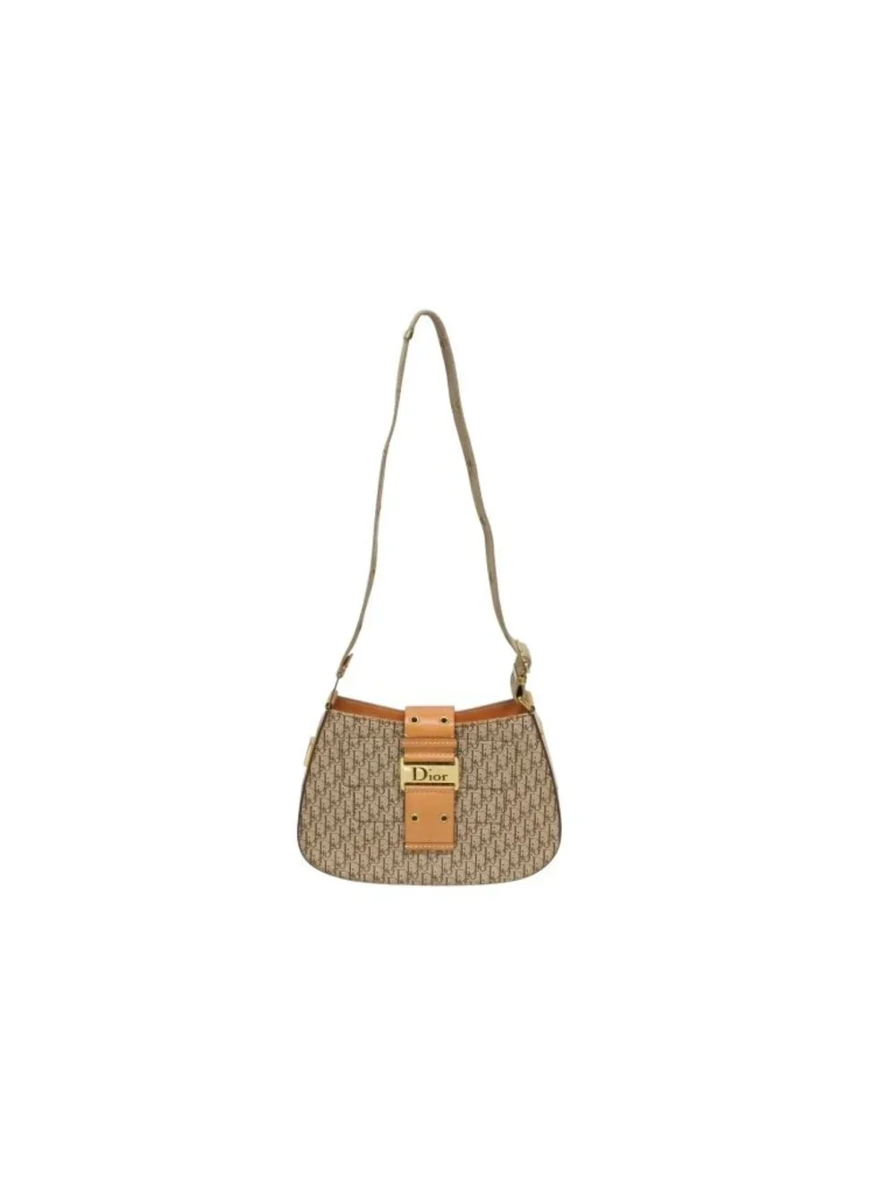 Dior Bag Street Chic Trotter Line Beige Brown Gold